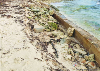 GROUP PROTECTING ISLAND HARBOUR BEACH  & SCHOOL