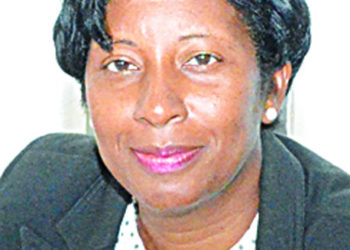 POSSIBILITY OF FUTURE DEVELOPMENT IN WELCHES