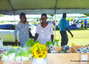 OBSERVING WORLD FOOD DAY
