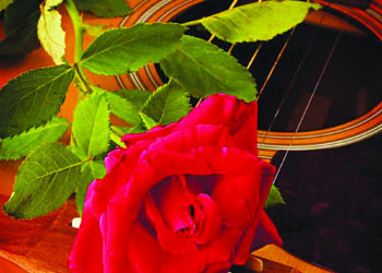 DIGICEL DEBUTS DIGICEL+ WITH A PROMISE OF SIMPLY MORE FOR HOME ENTERTAINMENT  AND INTERNET CUSTOMERS