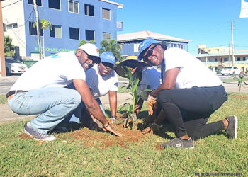 FLOW PARTNERS WITH THE ANGUILLA TOURIST BOARD AND THE AGRICULTURE DEPARTMENT TO BEAUTIFY COMMUNITY