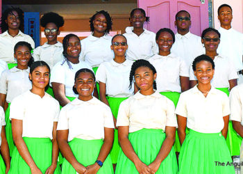 ALHCS HONOUR ROLL LIST: TERM ONE 2020-2021