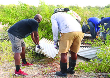 World Wetlands Day 2021-  Clean Up of Cove Pond, Anguilla