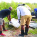 World Wetlands Day 2021-  Clean Up of Cove Pond, Anguilla