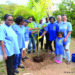 SOROPTIMIST CLUB PLANTS TREES IN CELEBRATION OF 100 YEARS