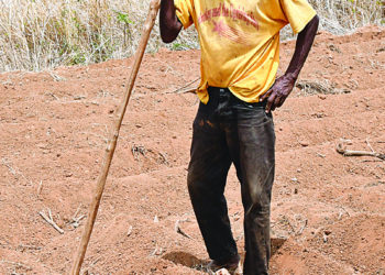 BUY LOCAL MONTH, BUT WITH LITTLE TO SELL Preparations Underway For Cultivations