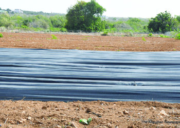 FARMERS BEING ENCOURGED IN LAND TENURE