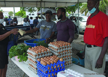 FIRST OPEN MARKET DAY SEES TREMENDOUS PUBLIC SUPPORT