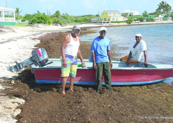 PREMIER WEBSTER JOINS IN CLEANING ISLAND HARBOUR BAY