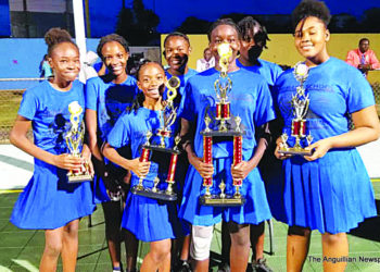Primary Schools Netball Tournament Sponsored by ANGLEC