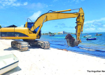ISLAND HARBOUR BEACH CLEAN UP