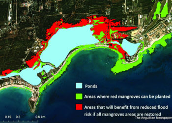 IMPROVING COASTAL ECOSYSTEM RESILIENCE TO  CLIMATE CHANGE IN ANGUILLA