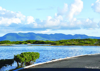 OBSERVATIONS IN ANGUILLA BEAUTY SPOTS IN ANGUILLA: THE MAUNDAYS BAY AREA