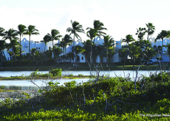 OBSERVATIONS IN ANGUILLA BEAUTY SPOTS IN ANGUILLA: THE MAUNDAYS BAY AREA