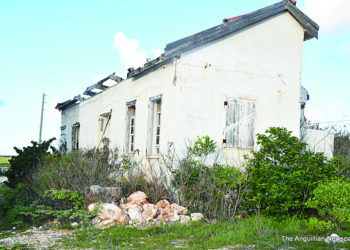 OBSERVATIONS IN ANGUILLA: IS THE FOREST BAY ABANDONED”