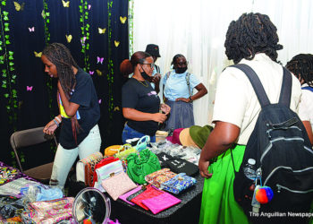 Ethne Richardson’s  Business Expo  at ALHCS An Outstanding Success