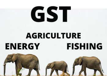 ELEPHANT(S) IN THE ROOM