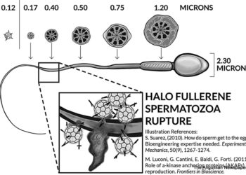 PATENT PROMISES GLOBAL FEMTECH OPPORTUNITY