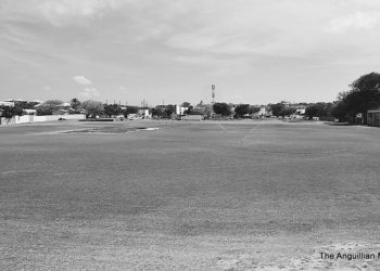 CRICKET, TRACK & FIELD PUBLIC CONSULTATION ON HOLD