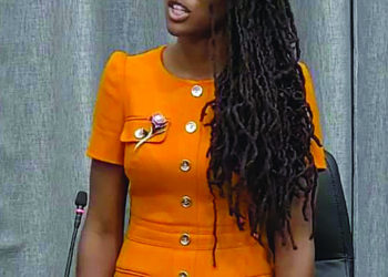 A FLIP FLOP  OR WHAT?