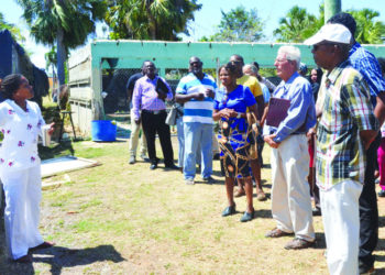 BACKYARD AQUAPONICS FARMING LAUNCHED