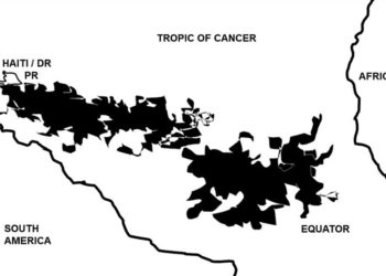 IRMA, COVID, GST – AND “IN THE WEEDS” WITH SEAWEED?