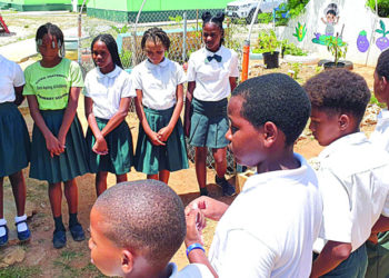 VIVIEN VANTERPOOL PRIMARY SCHOOL WINS  2023 HELLO TOURIST PROGRAMME GROUP PROJECT