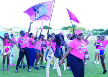 PINK PANTHERS POUNCE TO VICTORY AT 2025 ALHCS SPORTS DAY