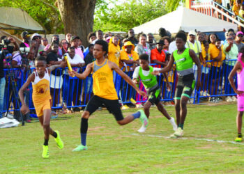 VALLEY PRIMARY SCHOOL GOLDEN HORSES GALLOP TO VICTORY AT 2025 SPORTS DAY