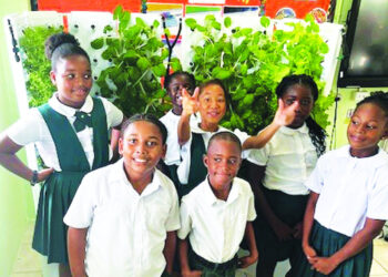 GROWING FUTURES: HOW ANGUILLA’S STUDENTS ARE CULTIVATING CHANGE WITH FLEX FARMS