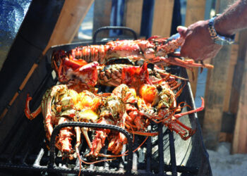 FESTIVAL DEL MAR 2025 DELIVERS A WEEKEND OF WAVES, SEAFOOD AND VIBES