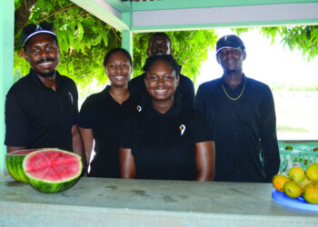 SUNSHINE AND MANGO MADNESS: THE ISLAND MANGO EXPERIENCE BLENDS FLAVOUR WITH TRADITION