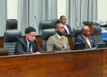 OPPOSITION MEMBER QUESTIONS SPORTS MINISTER ON PROGRESS OF THE SPORTING FACILITY IN BLOWING POINT