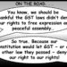 THE CONSTITUTION, COMMENTARY, COMMUNITY – AND GST