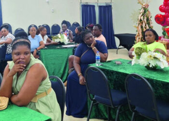 STEERING COMMITTEE LAUNCHED TO DEVELOP A NATIONAL PTA