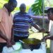 FIRST SUPERFOOD BREADFRUIT FESTIVAL CELEBRATES CULTURE, FOOD SECURITY AND COMMUNITY