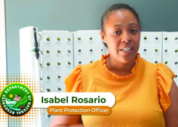 PLANT PROTECTION OFFICER PROVIDES AN UPDATE ON  FLEX-FARM SYSTEM