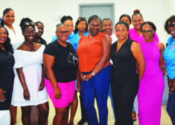 SOCIAL WORKERS BENEFIT FROM DEVELOPMENTAL SESSION