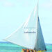 THRILLS ON THE WATER AS “DE WIZARD” WINS FESTIVAL DEL MAR CLASS A BOAT RACE